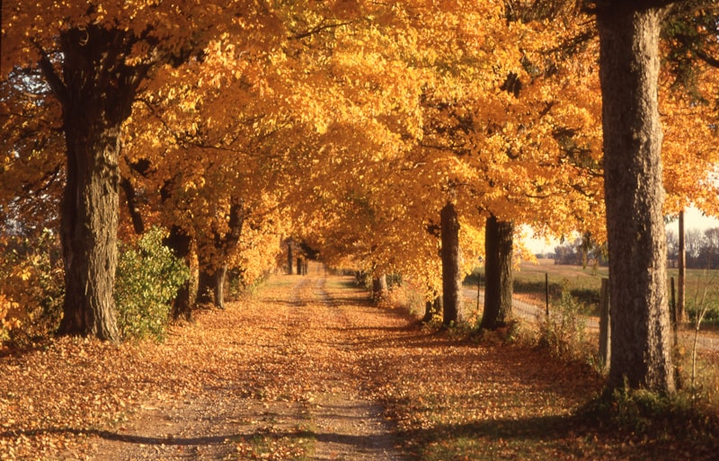 Township road